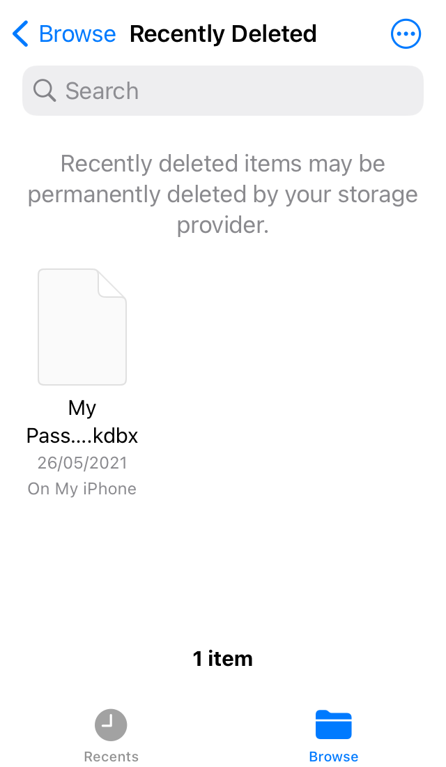 Files app screenshot showing the Recently Deleted folder with the database.