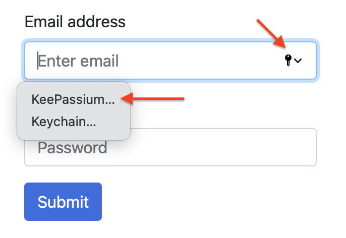 Password AutoFill button in a login form