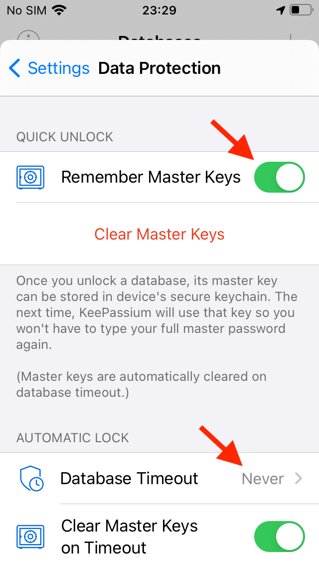 Data Protection settings to open the database automatically