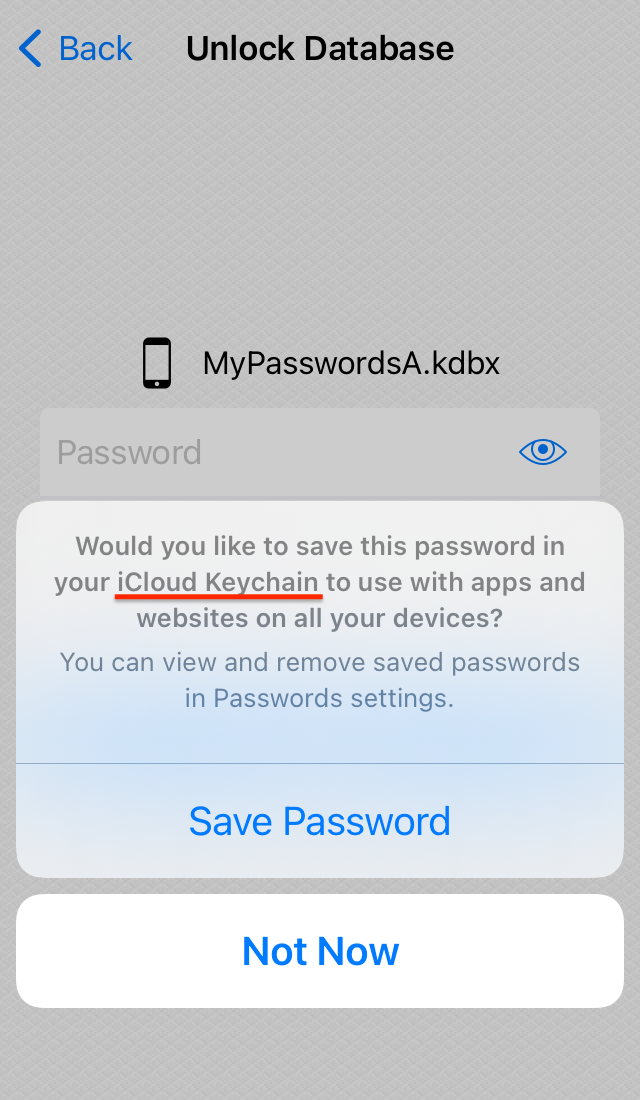 iCloud Keychain popups looked like part of KeePassium