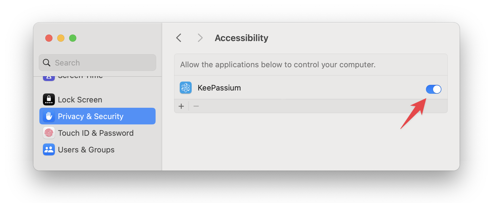 Screenshot of the Accessibility page in macOS settings dialog.